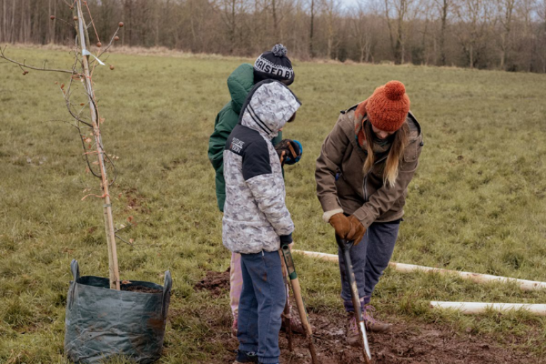Tree planting 4
