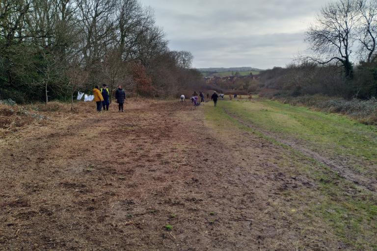 St Barnabas Field volunteer wildflower plug planting.