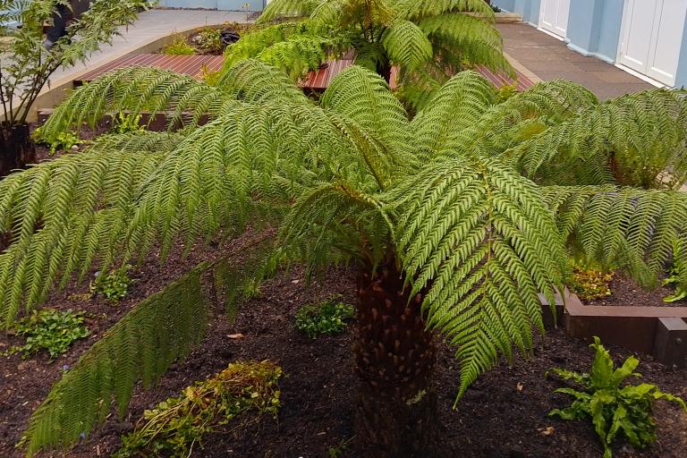 Chipping Sodbury School 12