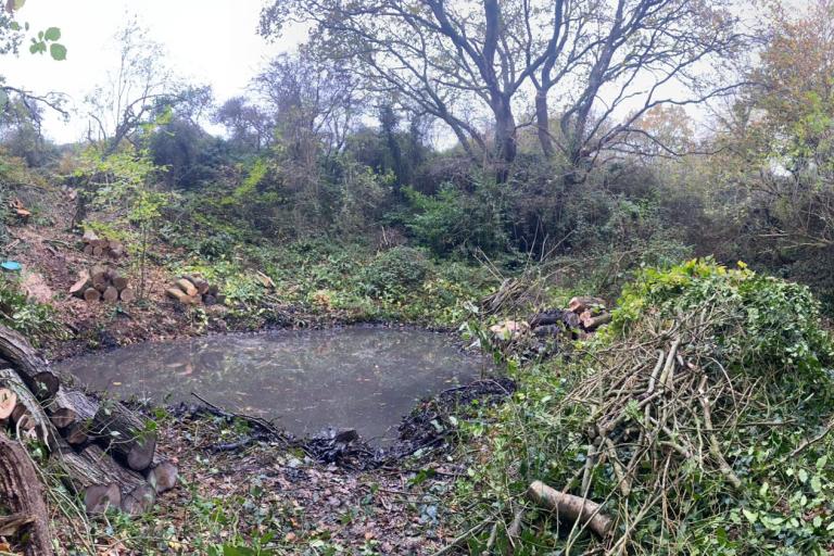 Earlier phase pond improvements. 