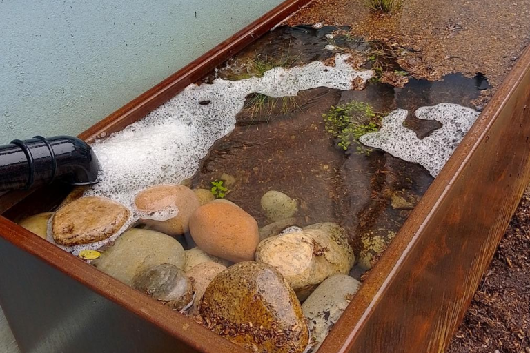 Quad 3 planter 2.png