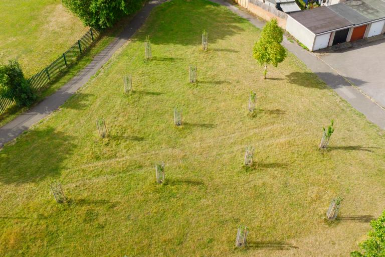 Warmley NAZ New Orchard Area