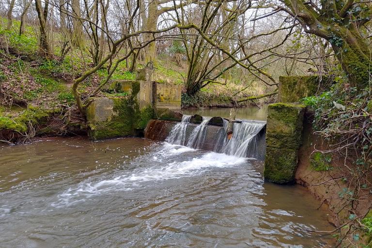 Sturt Weir Little Avon 