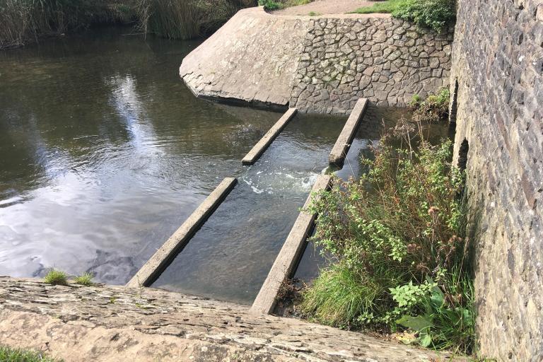 The inlet where the Patchway Brook joins the lake. 