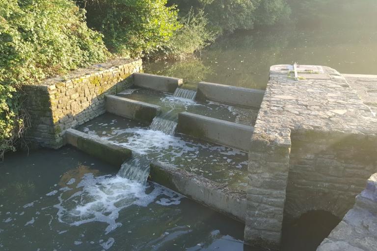 Outflow from the lake to Bradley Brook. 