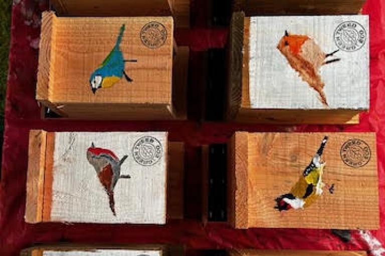 Birdbox project creative learning opportunities 