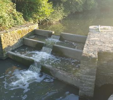 Outflow from the lake to Bradley Brook. 