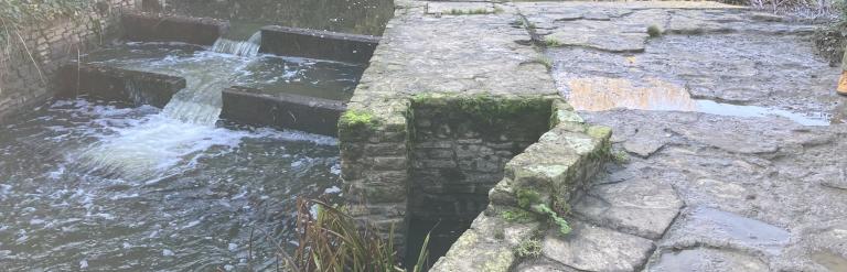View of the outflow from lake to Bradley Brook 